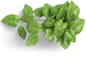 leaf-icon.png leaf-icon.png